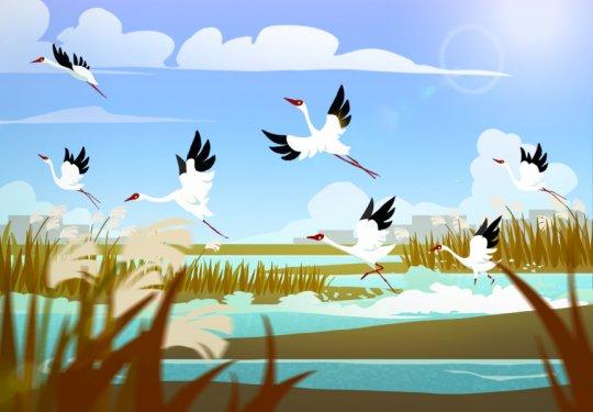 鄱阳湖国家湿地公园X《小动物之星》联动正式上线