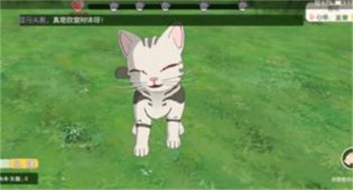 小森生活猫毛球获得教学