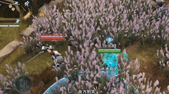 猎手之王风语者伊芙武器怎么搭配