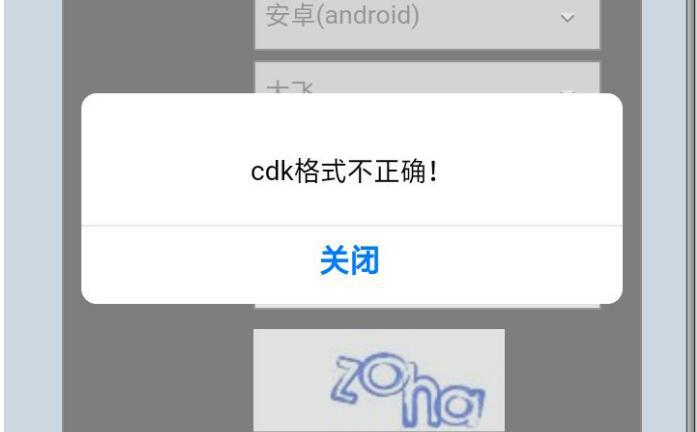 元素地牢AC娘皮肤CDK格式不正确怎么办