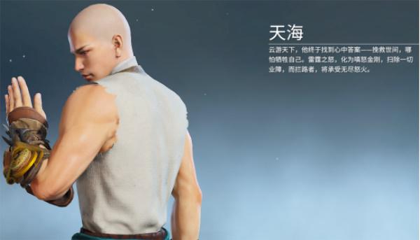 永劫无间天海武器搭配推荐