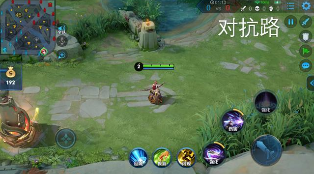 王者荣耀发育路和对抗路是什么