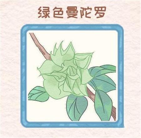 花店物语花种怎么获得