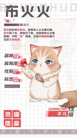 灵猫传布火火怎么样