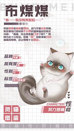 灵猫传布煤煤怎么样