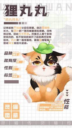 灵猫传狸丸丸怎么样