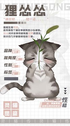 灵猫传狸怂怂怎么样