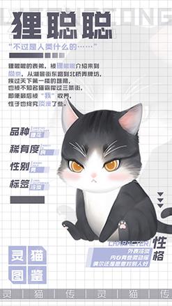 灵猫传狸聪聪怎么样