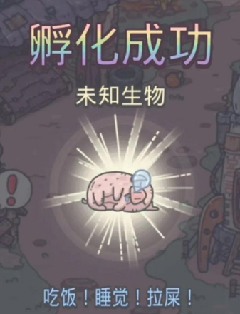 最强蜗牛宠物小屋三样东西怎么找