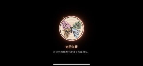 笼中窥梦奖章9