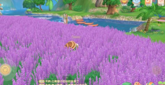 摩尔庄园获取薰衣草花梗方法：薰衣草花梗怎么获得图片2