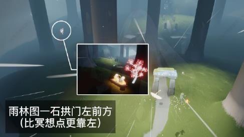 光遇赏花任务攻略：花憩节赏花位置大全图片4
