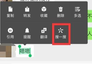 微信对话框搜一搜功能在哪里？按住消息快速搜聊天内容图片2