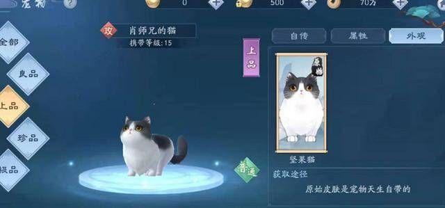 新笑傲江湖手游肖师兄的猫怎么获得？肖师兄的猫获取攻略[视频]图片1