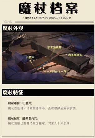 哈利波特魔法觉醒手游魔杖特征介绍：全魔杖杖芯代表巫师含义汇总[视频]图片2
