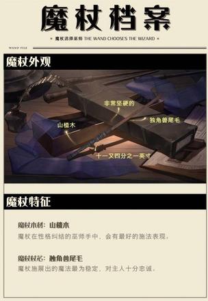 哈利波特魔法觉醒手游魔杖特征介绍：全魔杖杖芯代表巫师含义汇总[视频]图片2