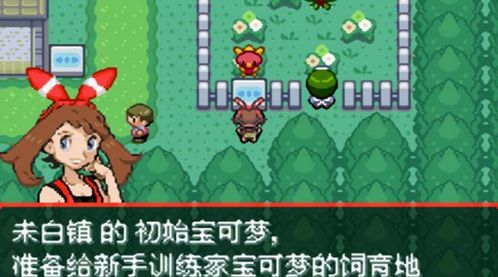 口袋妖怪究极绿宝石5.2伊布不听话怎么办？5.2伊布怎么才能不掉血？图片1