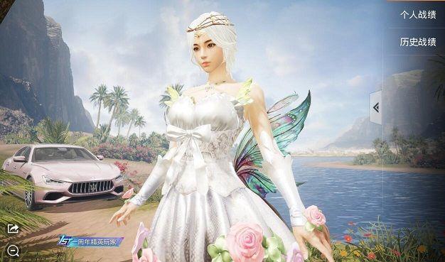 和平精英捏脸代码仙女妆 捏脸代码仙女脸数据大全图片1