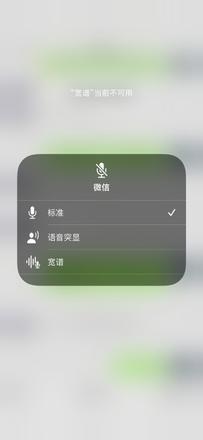 苹果13麦克风模式怎么设置