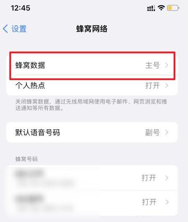 苹果13蜂窝数据怎么设置