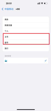 苹果13主副卡怎么设置