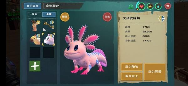 创造与魔法伙伴探险宠物有什么用