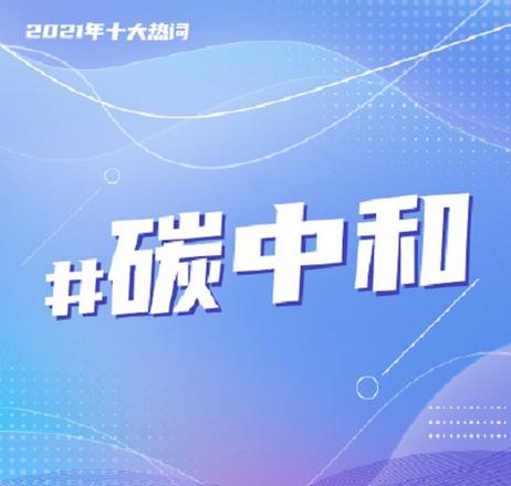 2021年度十大热词是什么