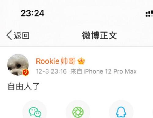 rookie成为自由人转会去哪儿