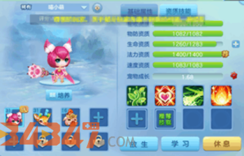 宠物.png