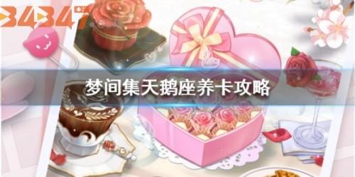 梦间集天鹅座卡牌应该怎么培养？卡牌培养小技巧.jpg