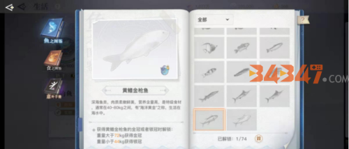 观赏鱼.png