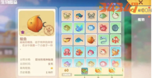 钓鱼图鉴.png