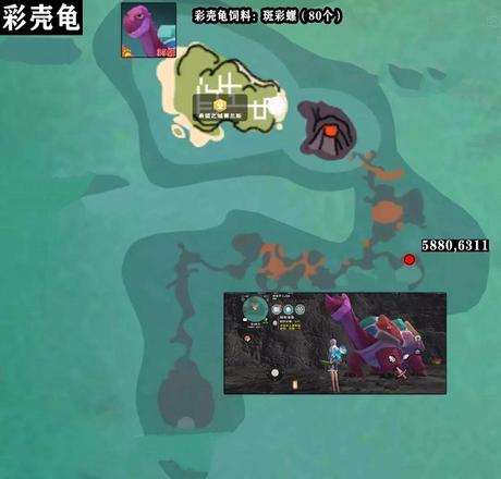 创造与魔法彩壳龟位置图刷新时间