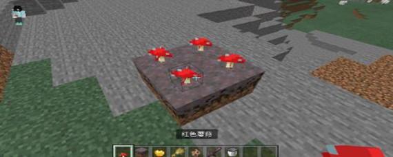 《我的世界》红色蘑菇怎么种