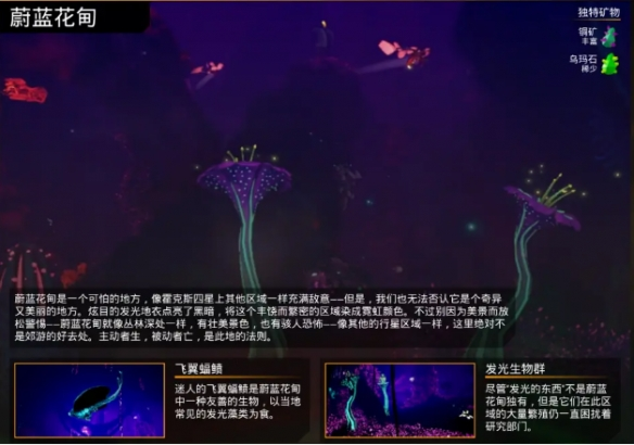 游乐园游戏宝典