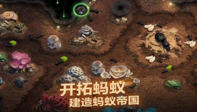 小小蚁国兵种怎么搭配 最强兵种搭配攻略图片1