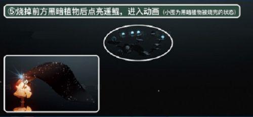 光遇潜海季第五个任务怎么做？潜海季第五个任务攻略图片5