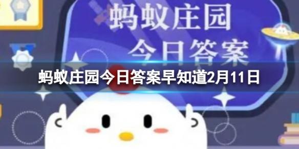 游乐园游戏网www.wywyx.com