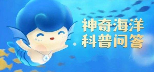 《神秘海洋》红树林被称为“海岸卫士”,其为人类提供的主要生态服务不包括 6月16日