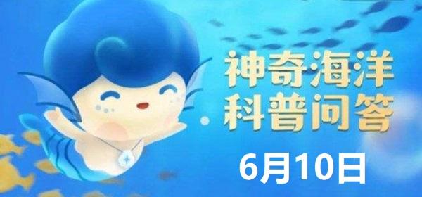 《神奇海洋》为什么我国近海没有湛蓝的海水 6月10日答案