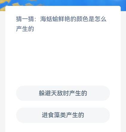 《神奇海洋》今日答案8.10猜一猜海蛞輸鲜艳的颜色是怎么产生的