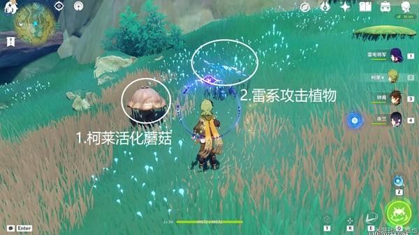 《原神攻略》無鬱稠林火史萊姆寶箱解謎教學 無鬱稠林火史萊姆寶箱獲取方法