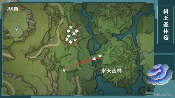 《原神攻略》柯萊培養材料獲取指南 樹王聖體菇採集路線