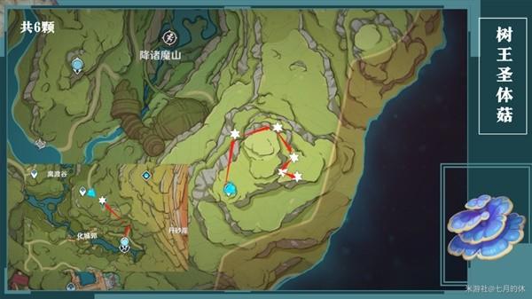《原神攻略》柯萊培養材料獲取指南 樹王聖體菇採集路線