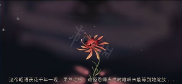 游乐园游戏宝典