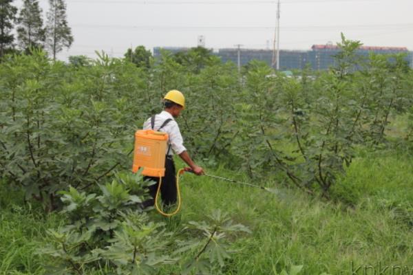 多少温度能打除草剂