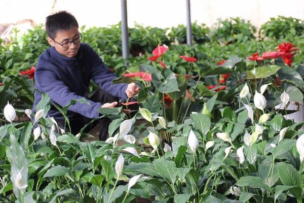 花卉种植技术在哪里学