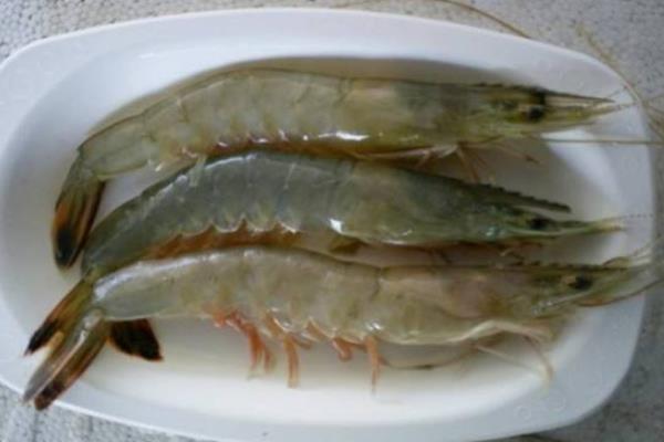 南美白对虾好吃吗？和黑虎虾比哪个好吃？