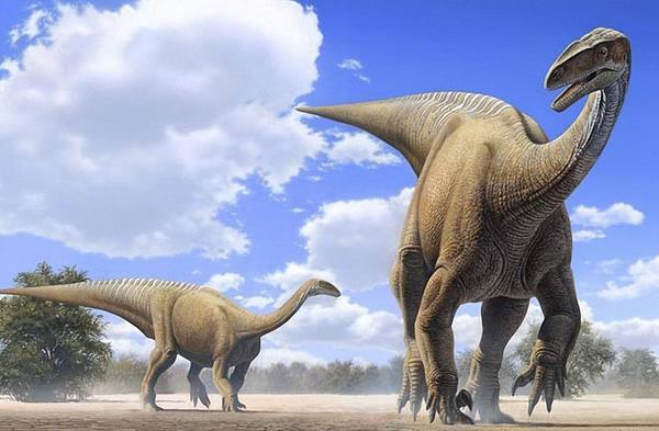 最早的人类见过恐龙吗 恐龙不灭绝会有人类吗