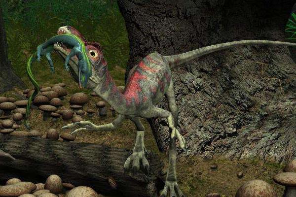 最大的恐龙是什么恐龙 世界上最小的恐龙是什么